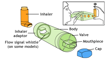 How steroid inhalers work